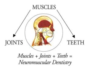 illustration of tmj and its relation with neuromuscular dentistry